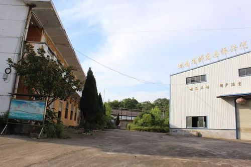 邵東振興汽配廠房地產拍賣 砂石鎮柳東村的投資機遇